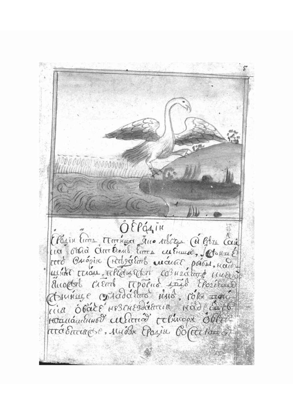 Физиолог. Рукопись | Студит Дамаскин