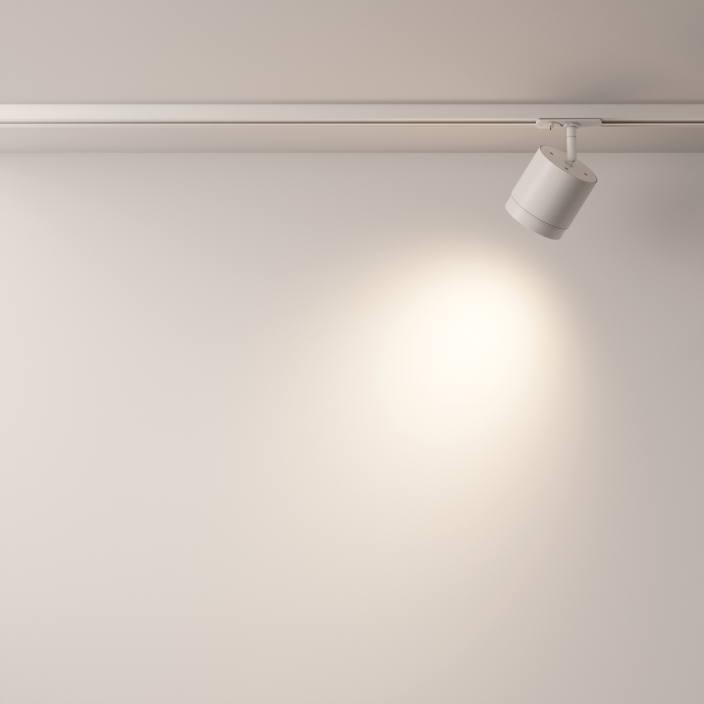 Трековый светильник Maytoni Polar TR088-1-GX53-W