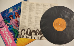 Винтажная виниловая пластинка LP Newton Family Dandelion (Japan 1981)