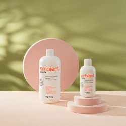 Шампунь для окрашенных волос Colorfix Ambient Tefia, 950 мл