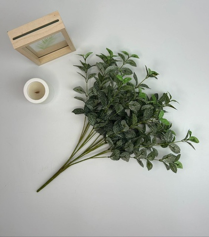 Фитония / Арт 6102