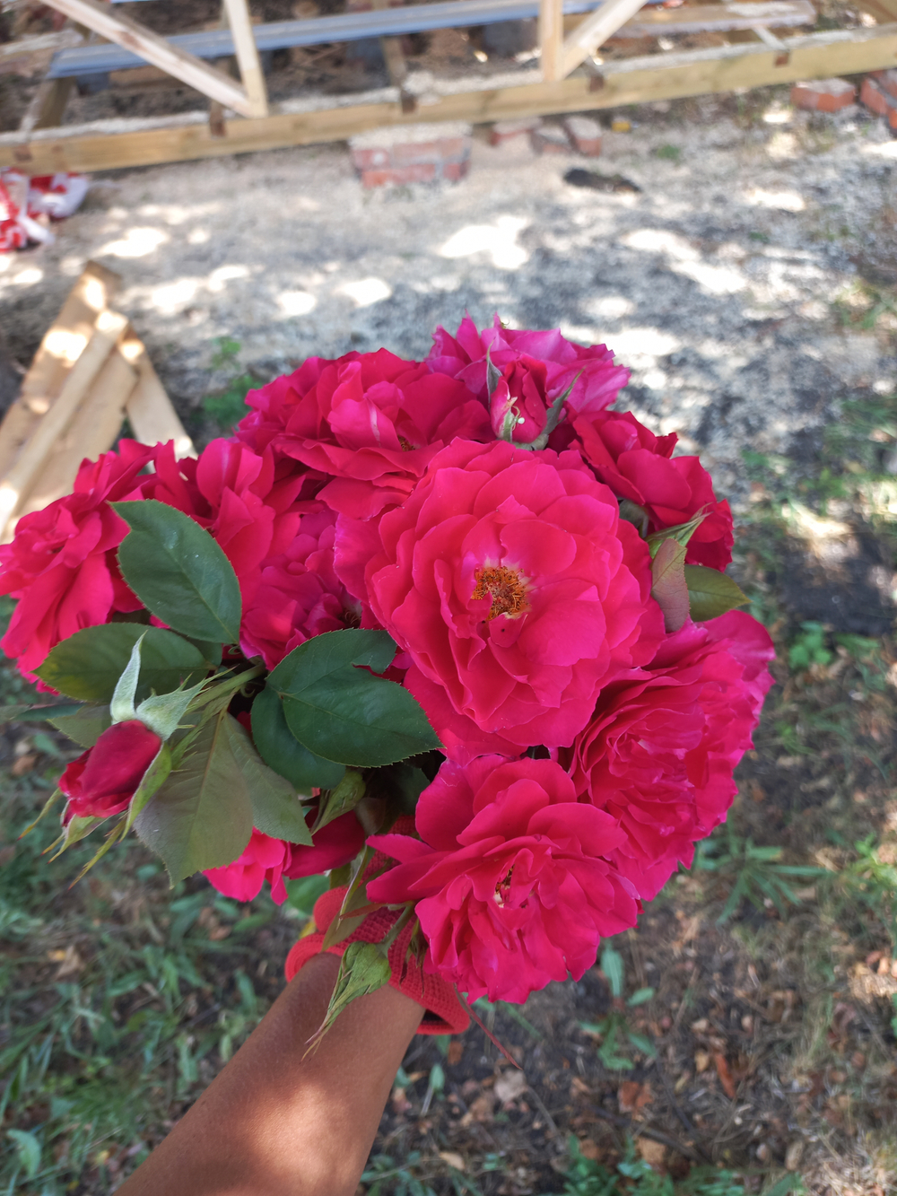 ВАИЛД БЛЮ ЁНДЕ