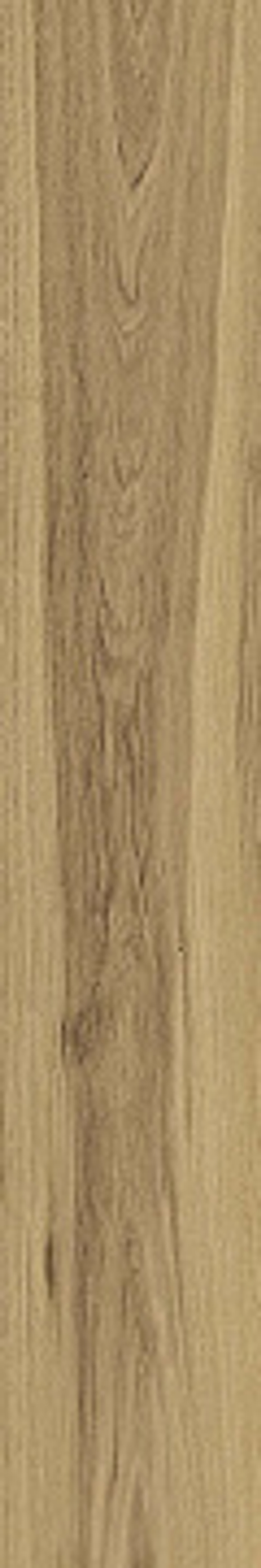 Керамогранит ATLAS CONCORDE RUSSIA RIVE Acqua Riva Ret 20x120 Матовая (610010002299) 9мм.