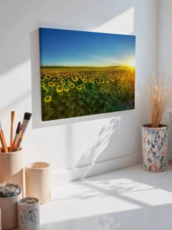 Картина на стену 40 X 50 Поле подсолнухов