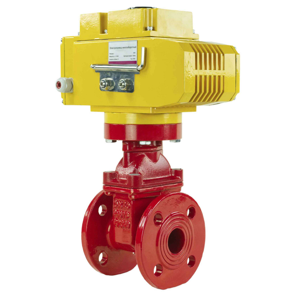 Wedge gate valve 30c939r red Elephant-GGG50-EPDM-F4-RED PSI232 class 150 T=230-248°F flange connection, with rubber lined wedge EPDM, electric actuator Elephant MT-110/220, 110/220V