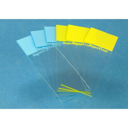 Предметные стекла Superfrost c угл.90’ со шлиф.кромкой с зоной для маркировки белого цвета 26х76х1мм (50 шт/уп) (Цвет зоны для маркировки в ассортименте: желтый, оранжевый, розовый и пр.)