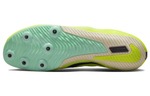 Кроссовки Nike Zoom Rival S10