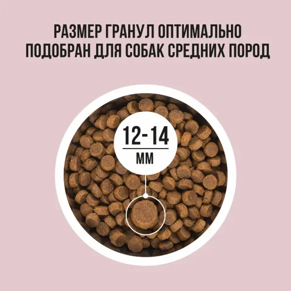 Bowl wow корм сухой для взрослых собак средних пород: индейка, рис, яблоко