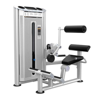 U2031 Разгибание спины. Стек 109 кг