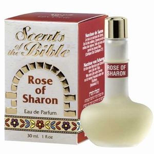 Ein Gedi Rose of Sharon