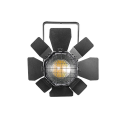 NF-MINIFRESNEL 100MZ FR100MCW