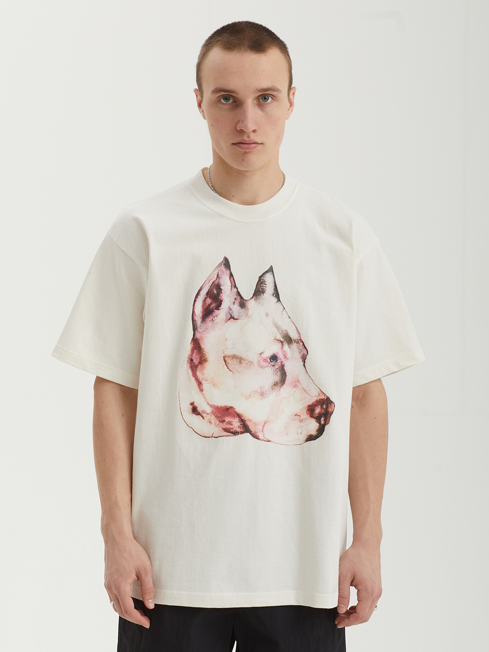 Мужская Футболка Obey Pit