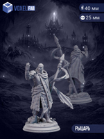 Хроники: Путь темных эльфов миниатюр для настольных игр РНИ, DND