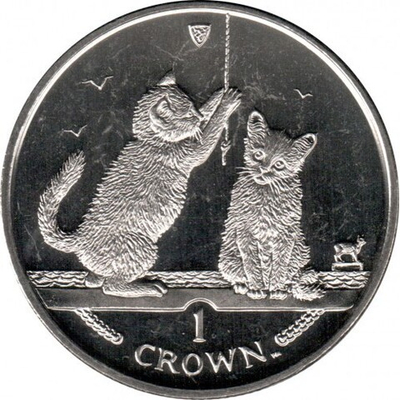 Сомалийская кошка