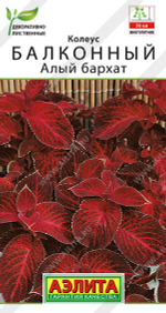 Колеус балконный Алый бархат 5шт Ц Аэлита