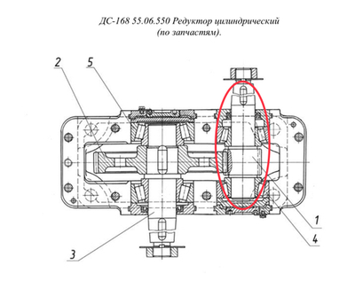 ДС-168 55.06.551 Вал-шестерня