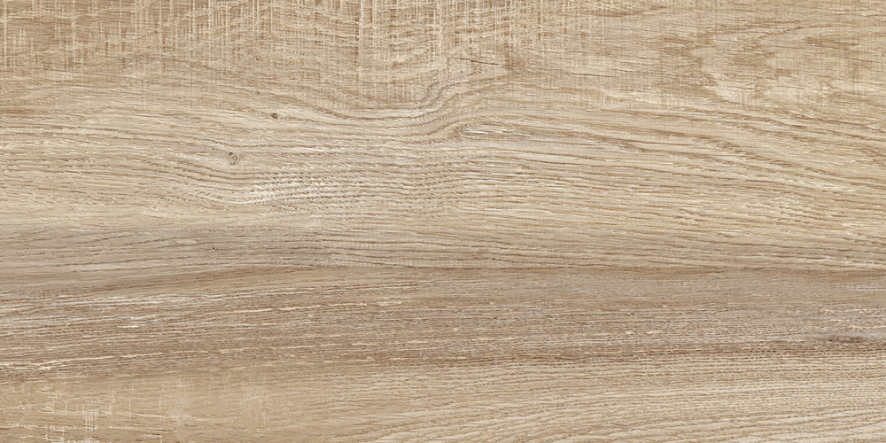 Euphoria TWU2550EPH40