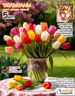 Тюльпан Луковица, Микс сортов 5 шт