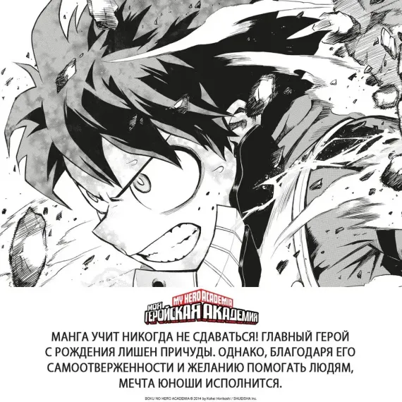 Моя геройская академия. Кн. 19. Те, кто обороняется, и те, кто нападает. Hopes