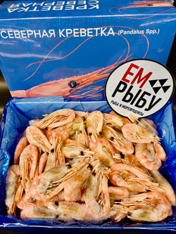 Креветка северная в/м 90/120