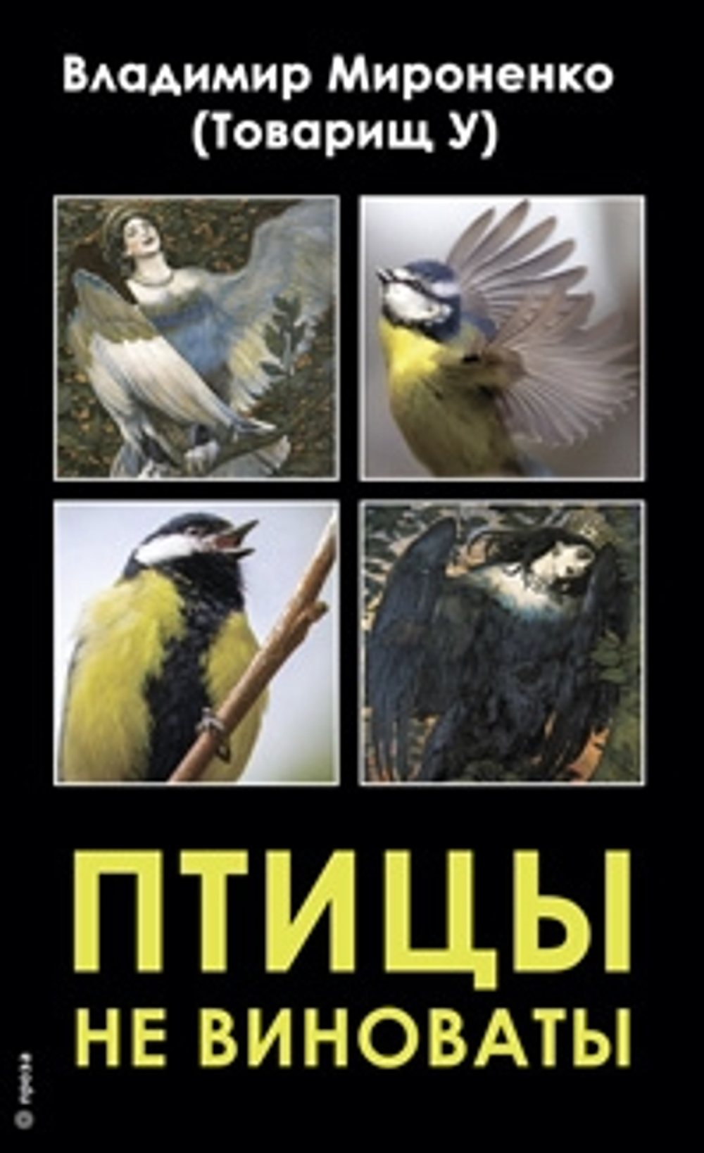 Птицы не виноваты