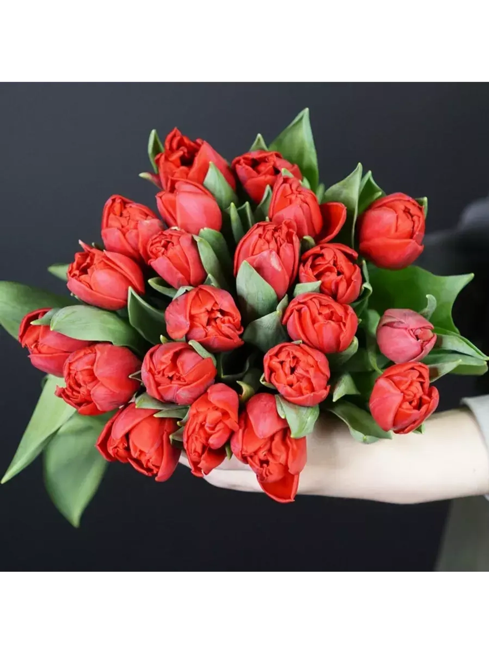 Луковицы тюльпанов пионовидные сорт PRESTO (4 штуки)