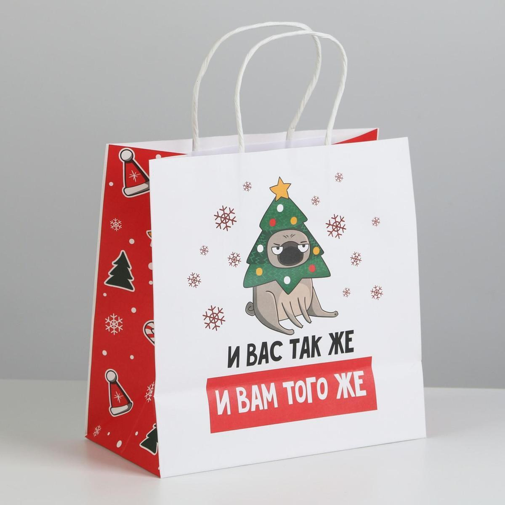 Пакет подарочный "А вас также" 22×22×11см (Дарите Счастье)