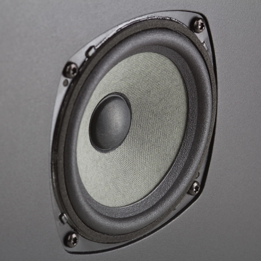 Radiotehnika Vita 2.01 Black Ash широкополосная настенная акустика