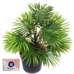Цветок искусственный в горшке «Пальма Арека» 22см