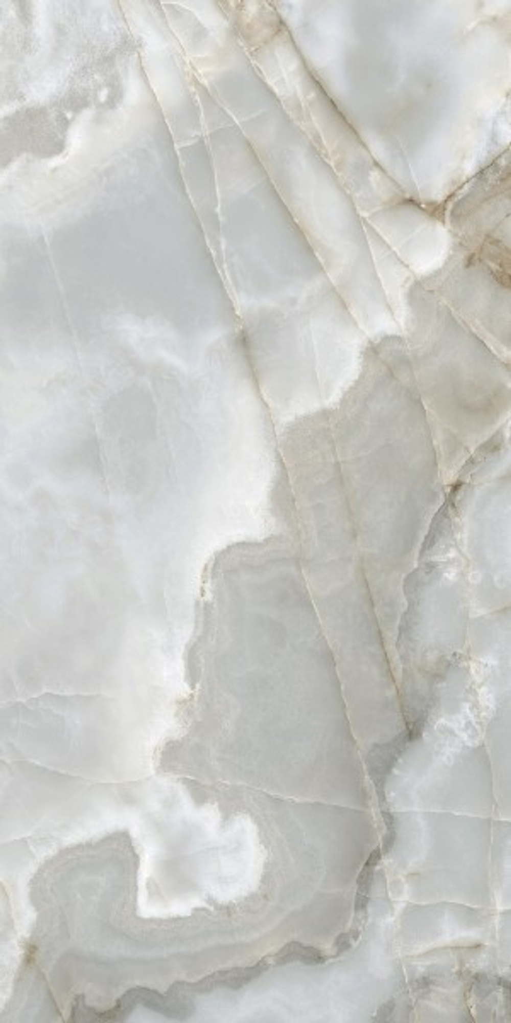 REX ONYX BLUE FP1010-A