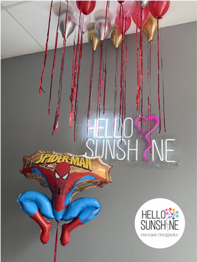 Набор шаров для мальчика №24