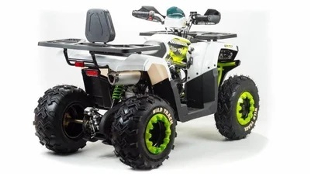 Квадроцикл MOTOLAND 200 WILD TRACK LUX ( БАЛАНС. ВАЛ) (2021 Г.)