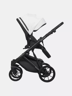Коляска MONTANA ECCO (2 в 1) (RIKO BASIC)