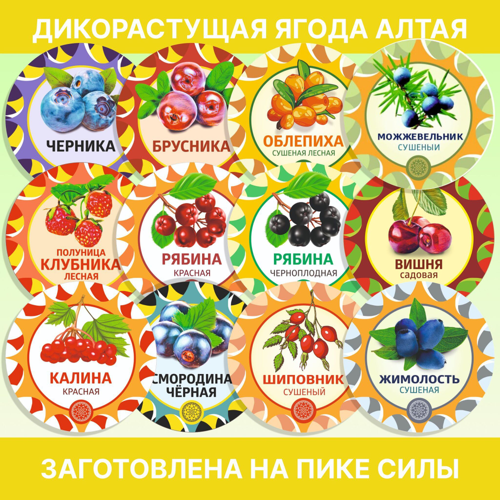 Одуванчик цвет сушеный.