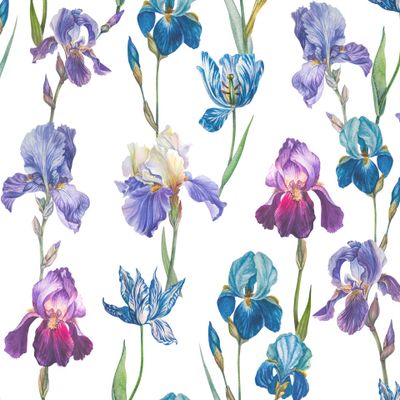 ирисы и тюльпаны