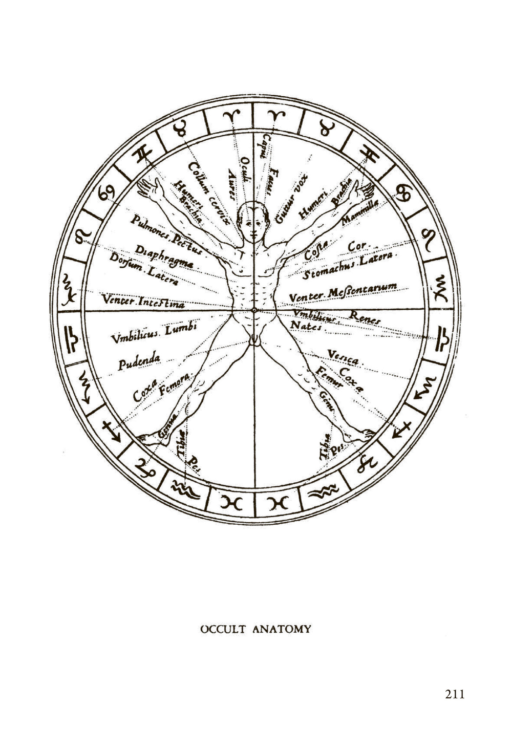 Magica Sexualis. Записки о любви, чёрной магии и тайных науках (PDF)