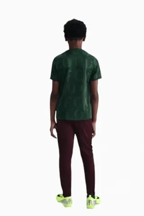 Футболка Nike Chelsea FC 25/26 Academy Pro Junior - зеленый