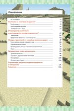 Обустройство в мире Minecraft. Неофициальное руководство для игроков