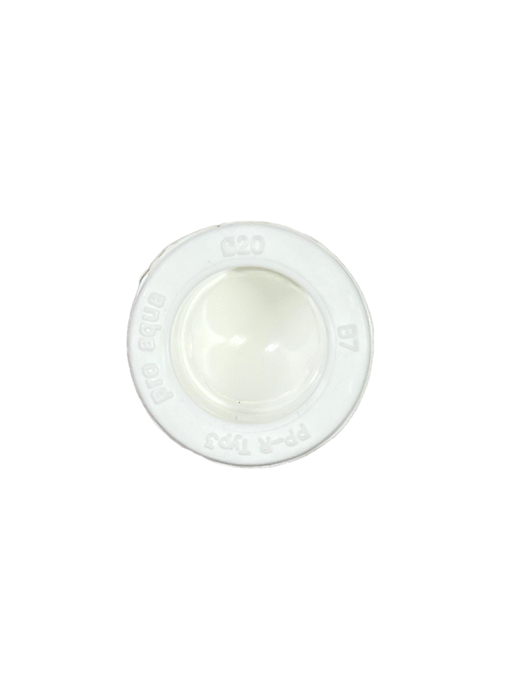 ЗАГЛУШКА БЕЛАЯ 20 PP-R