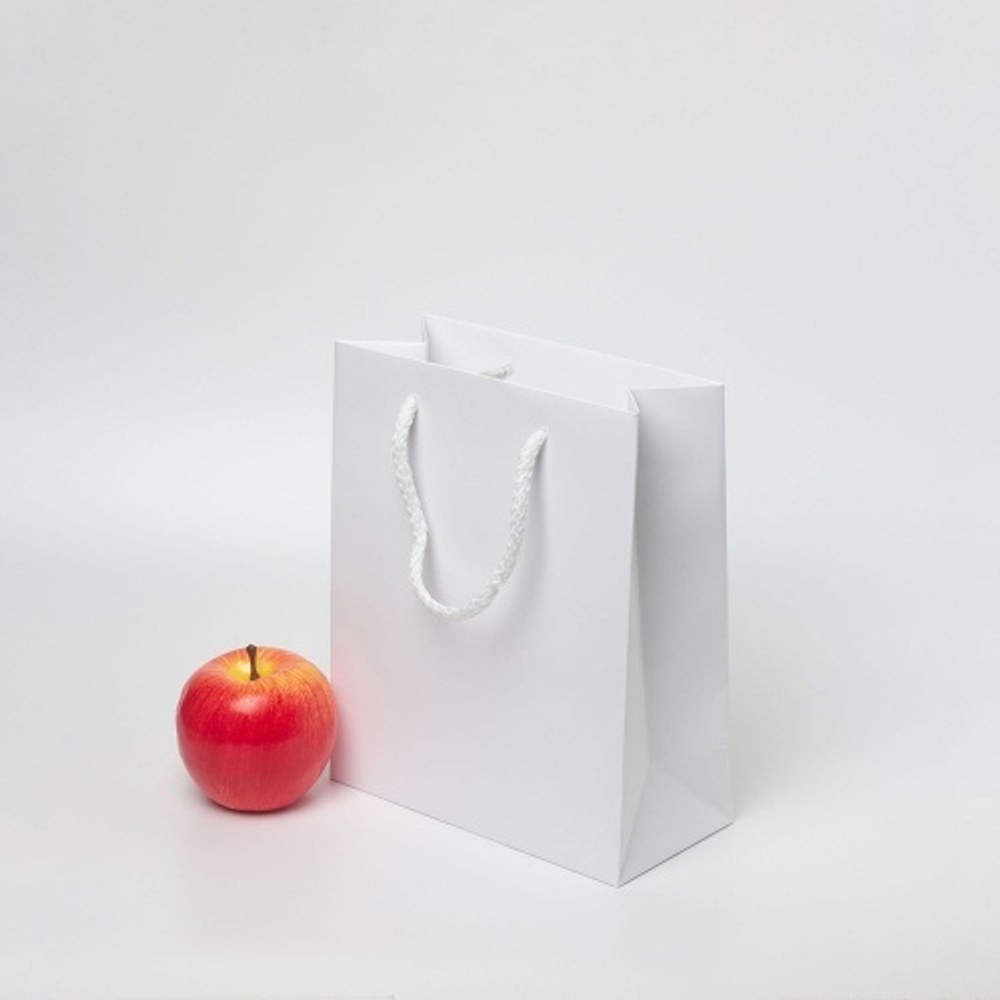 Пакет 19x23x9, белый, меловка