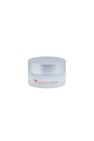 Увлажняющий крем для лица Spa Treatment Abso Water Moist Cream, 30 г