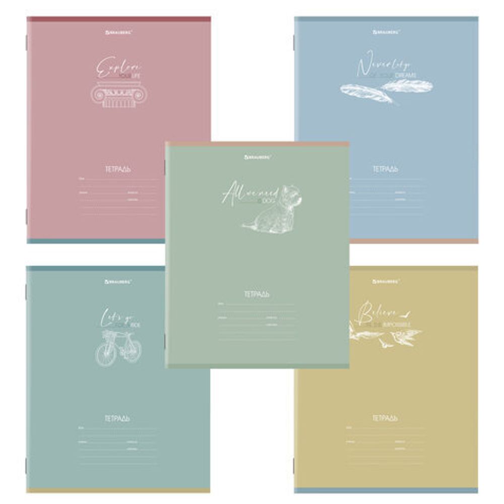 Тетрадь 24 л. BRAUBERG клетка, обложка картон, "ОДНОТОННЫЙ", 106486, 5шт