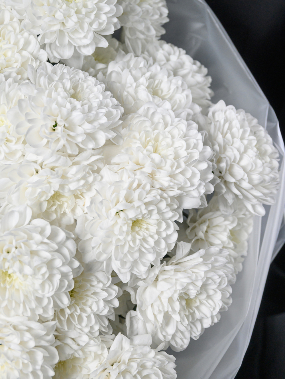 Моно букет из 11 хризантем