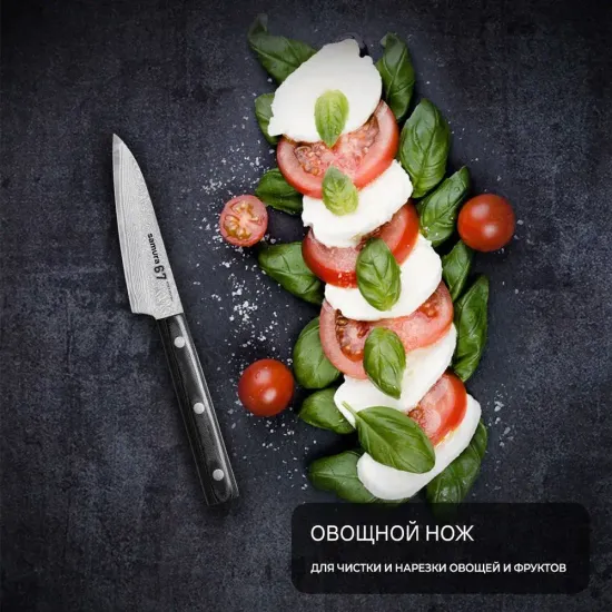 SD67-0010 Овощной нож Samura 67 Damascus