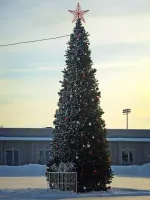 Уличная елка каркасная "Евро-2" (пвх) 4 м