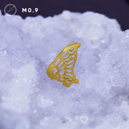 Butterfly Wing PVD Yellow