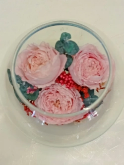 натуральные пионы в стекле, вакуум*