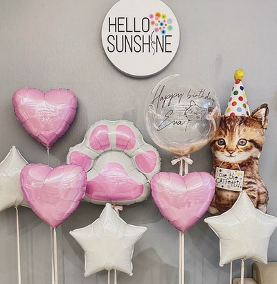 Набор шаров «Лапка и Котик»