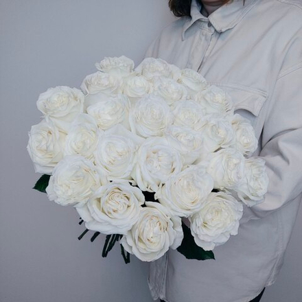 25 белых пионовидных роз Плайя Бланка