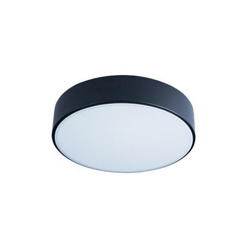 Потолочный светильник LED 12W 4000К 10002/12 Black чёрный Axel LOFT IT